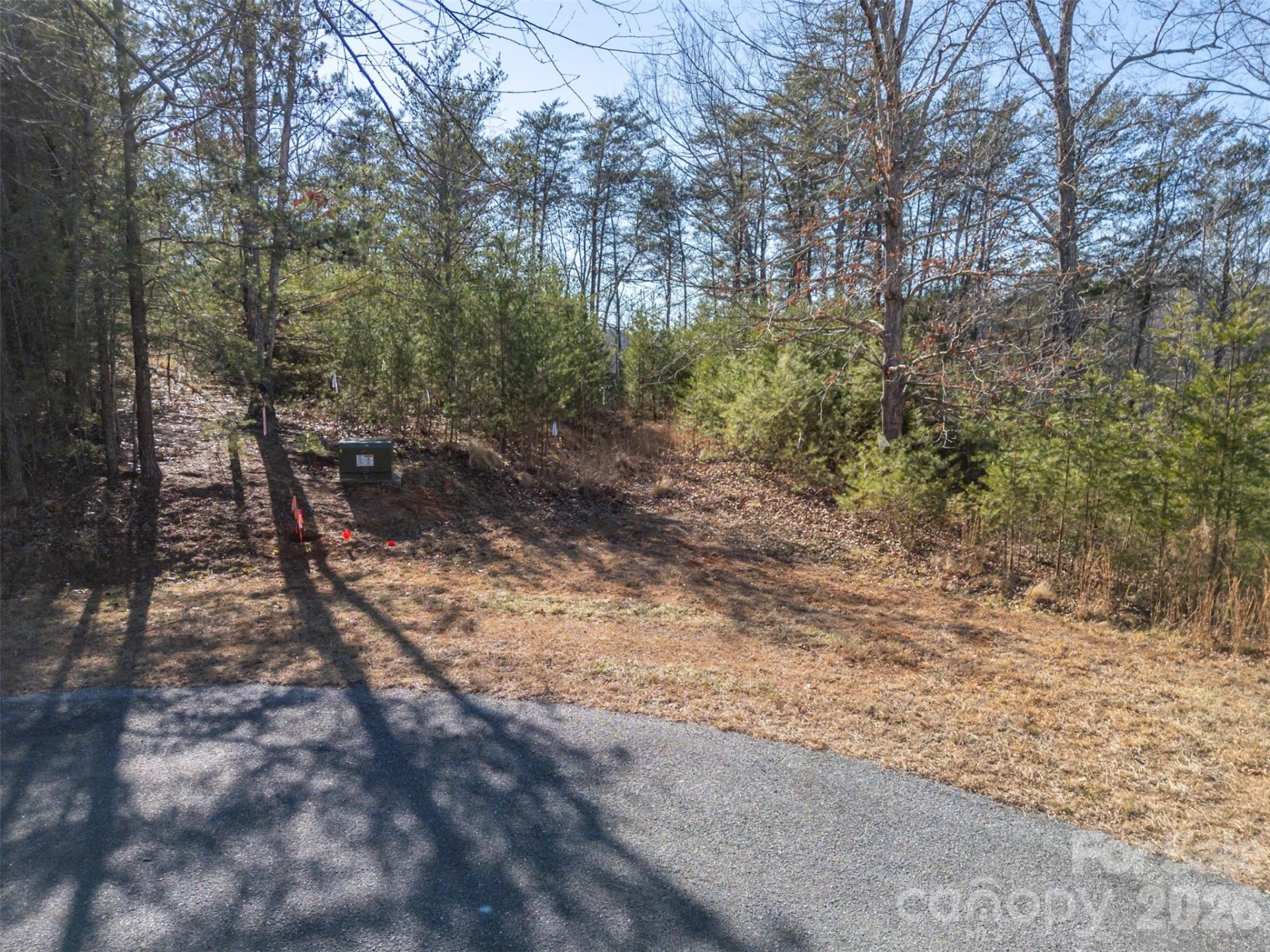 000 Indian Summer Lane #4 - Photo 11
