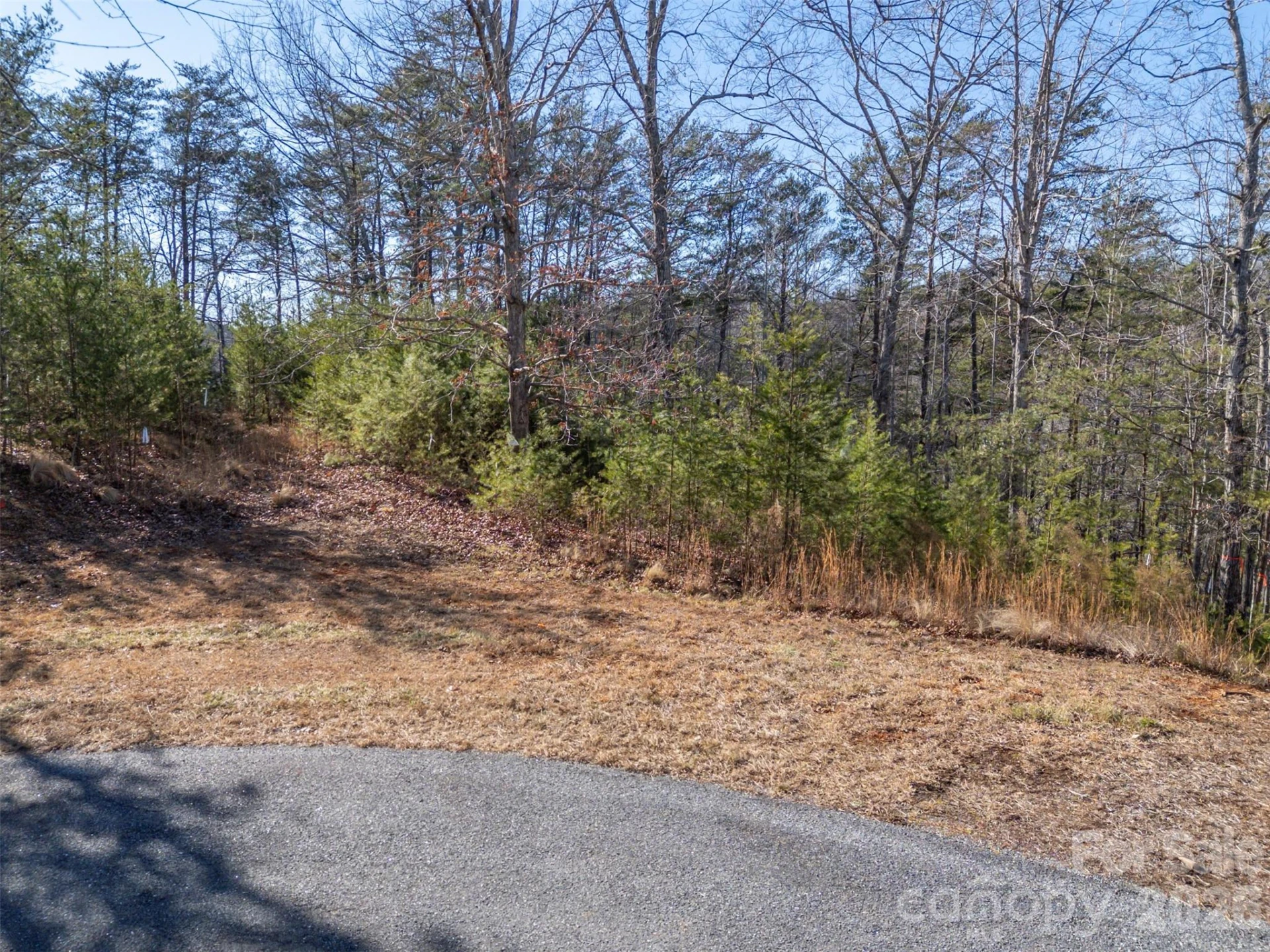 000 Indian Summer Lane #4 - Photo 10