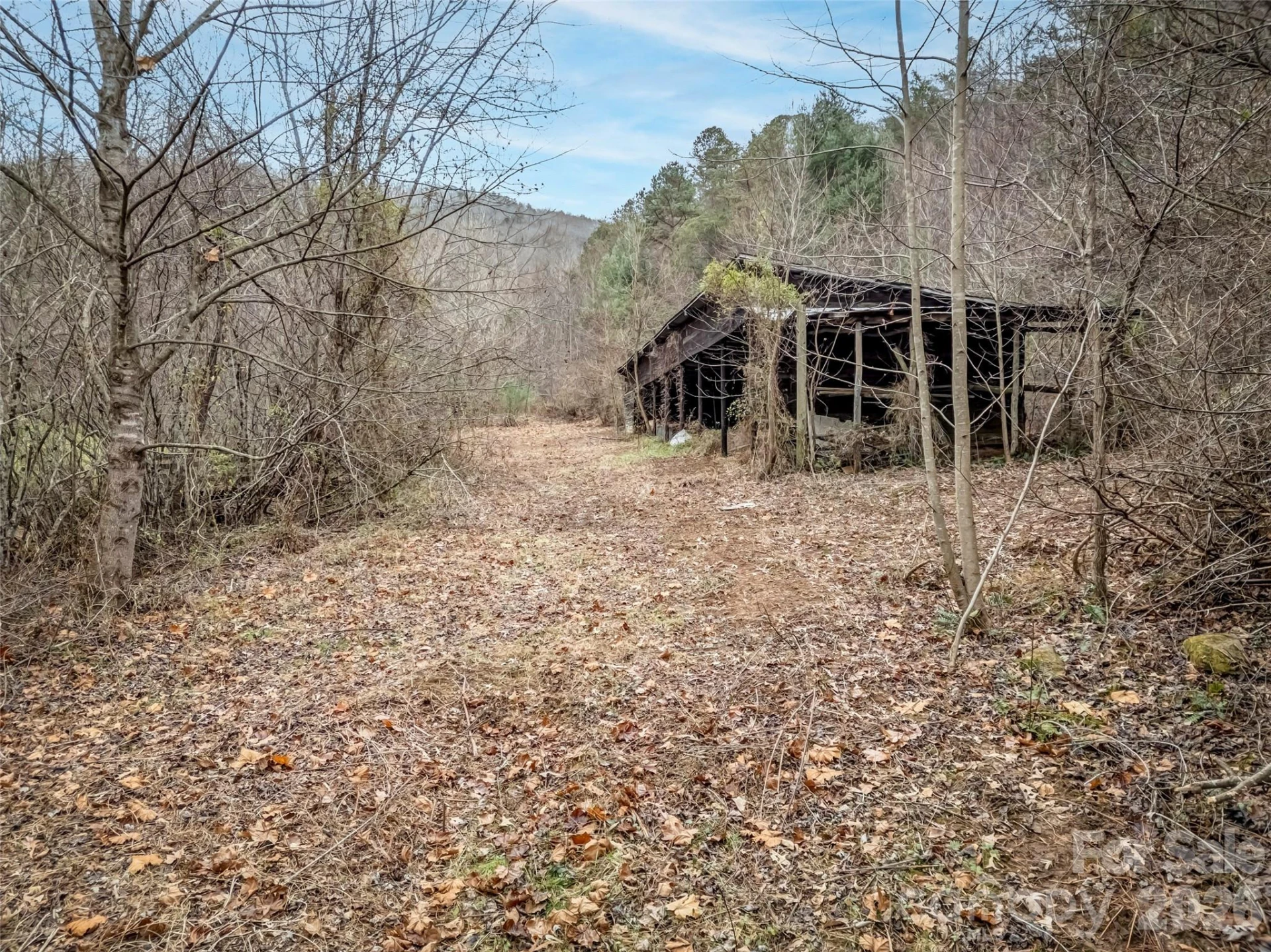 896 Newfound Road - Photo 18