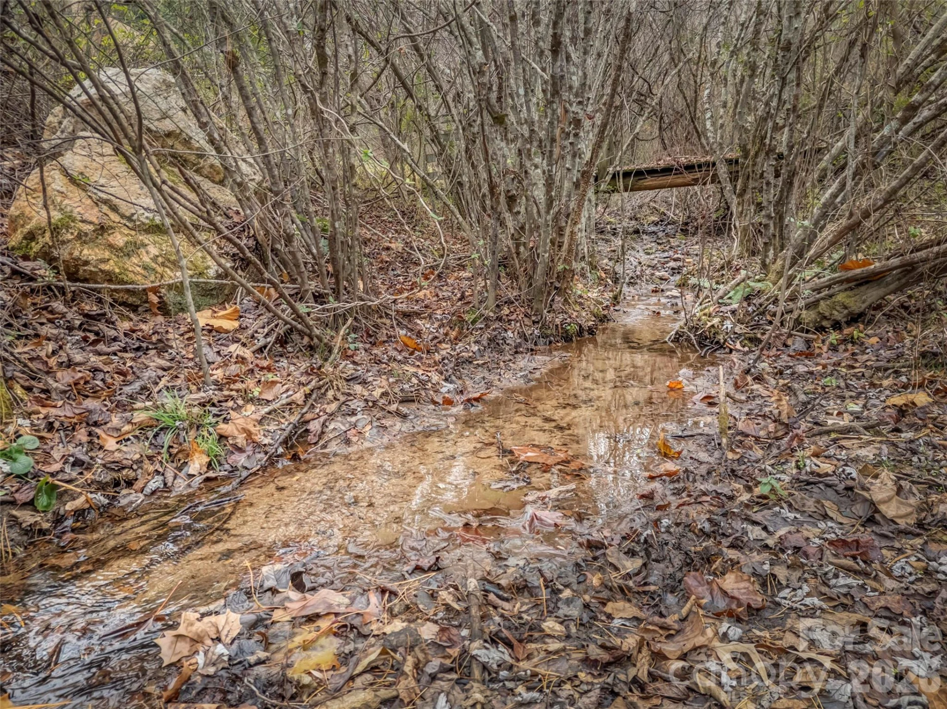 896 Newfound Road - Photo 19