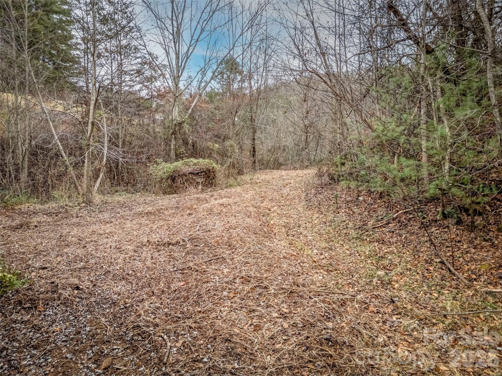 896 Newfound Road - Photo 4