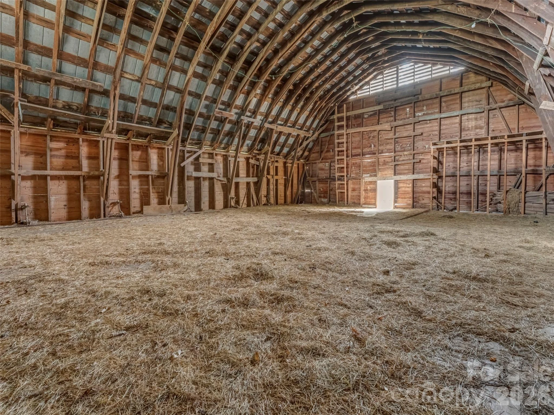 896 Newfound Road - Photo 6