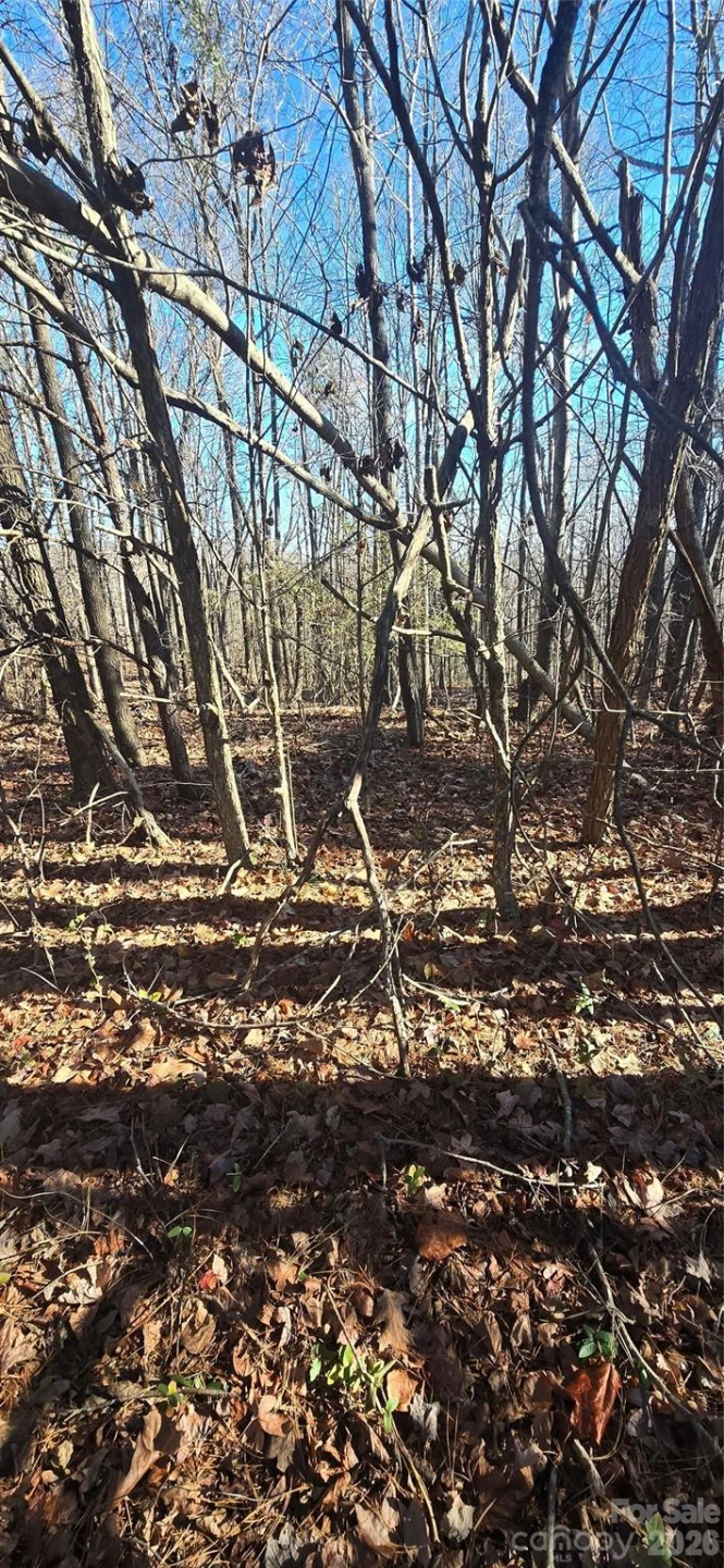 00 Gettys Road - Photo 2
