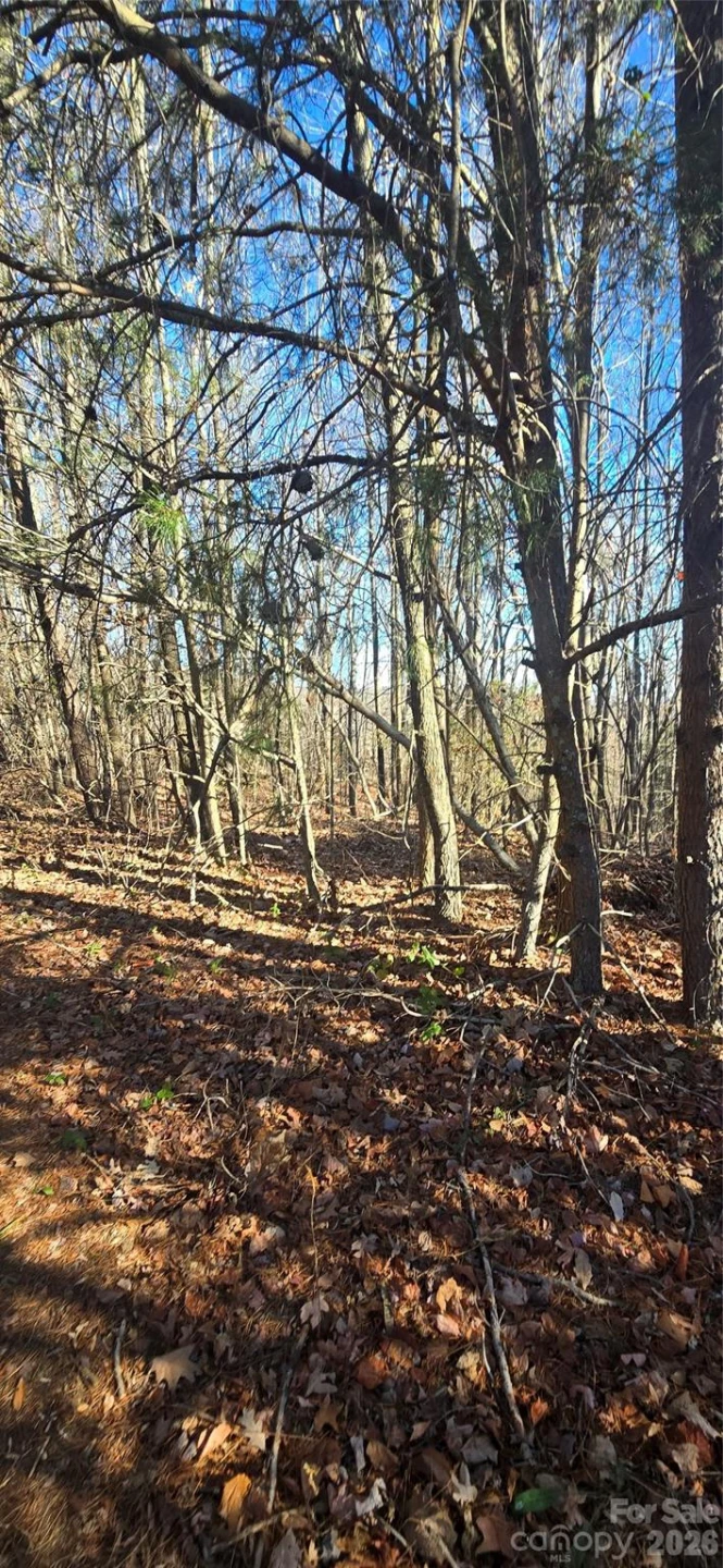 00 Gettys Road - Photo 3