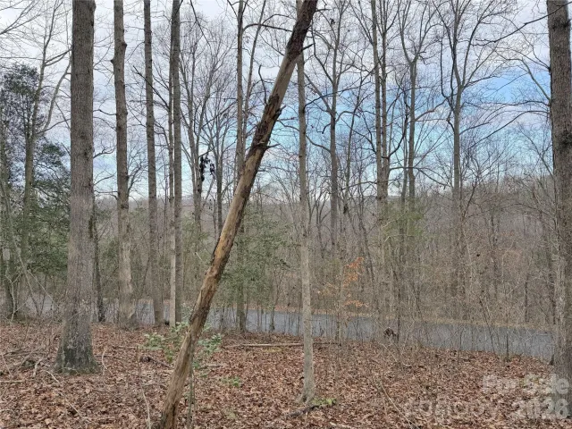 0000 E Rambling Creek Drive, Tryon, NC, 28782