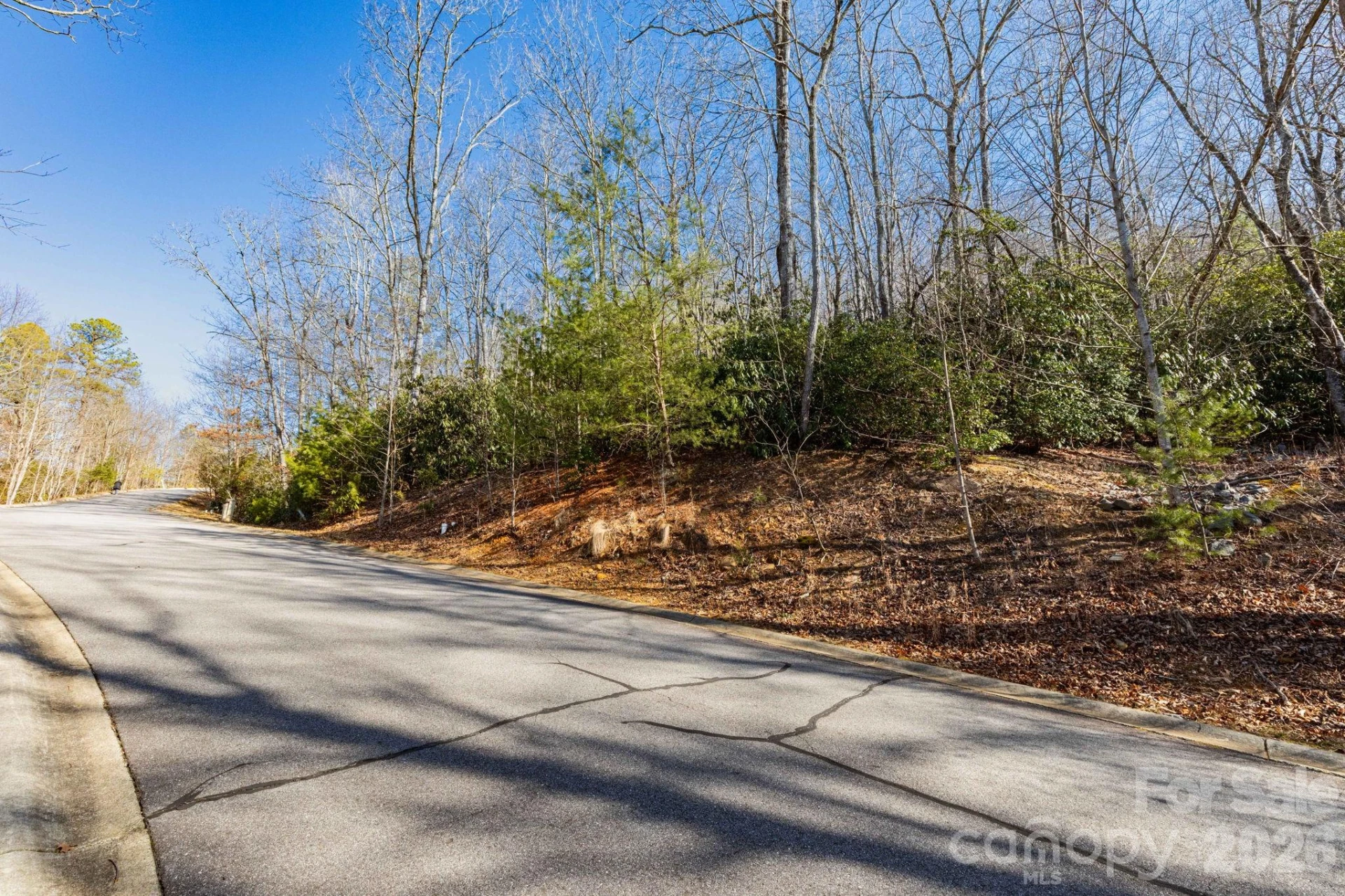 204 Settings Boulevard #247 - Photo 2