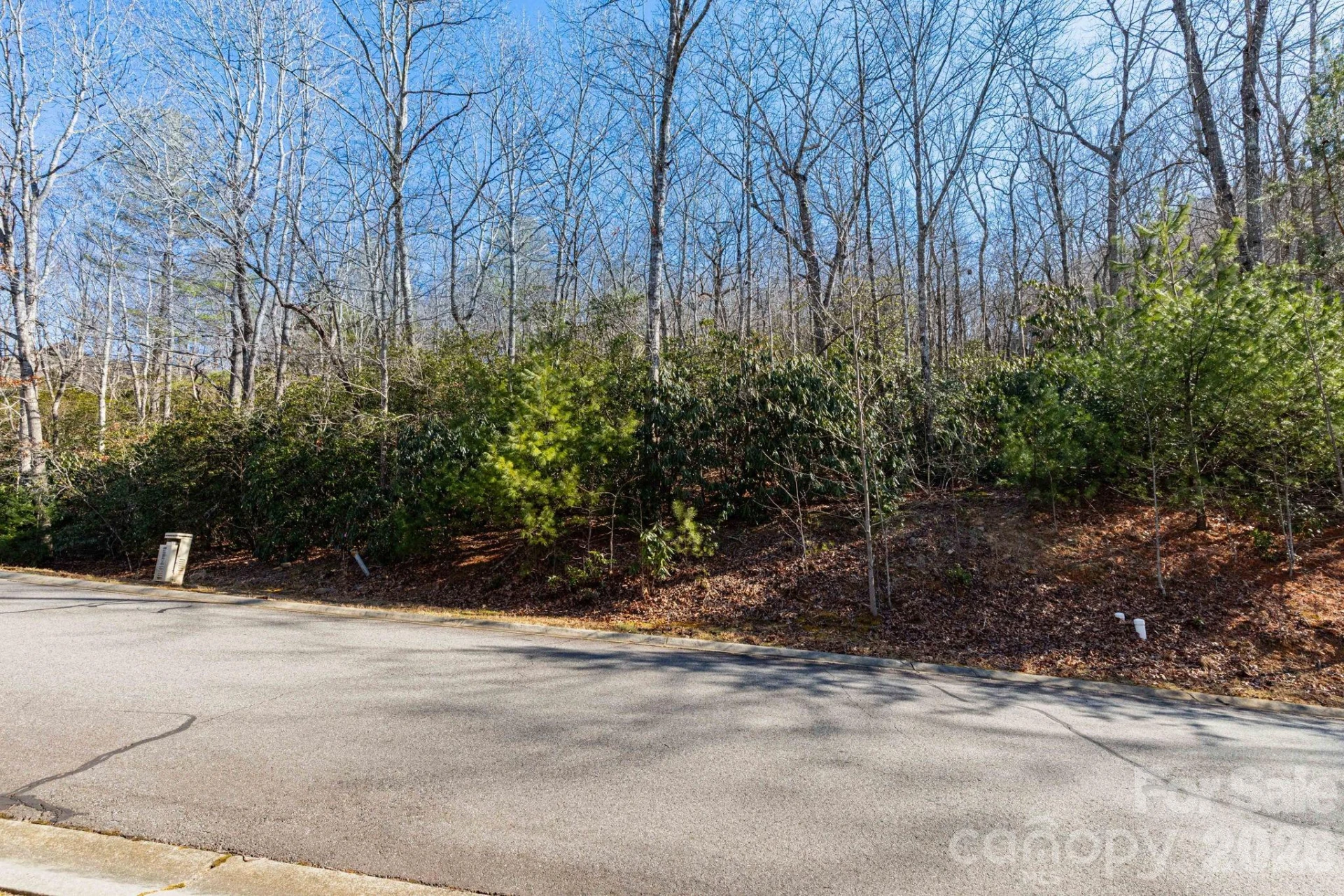 204 Settings Boulevard #247 - Photo 3