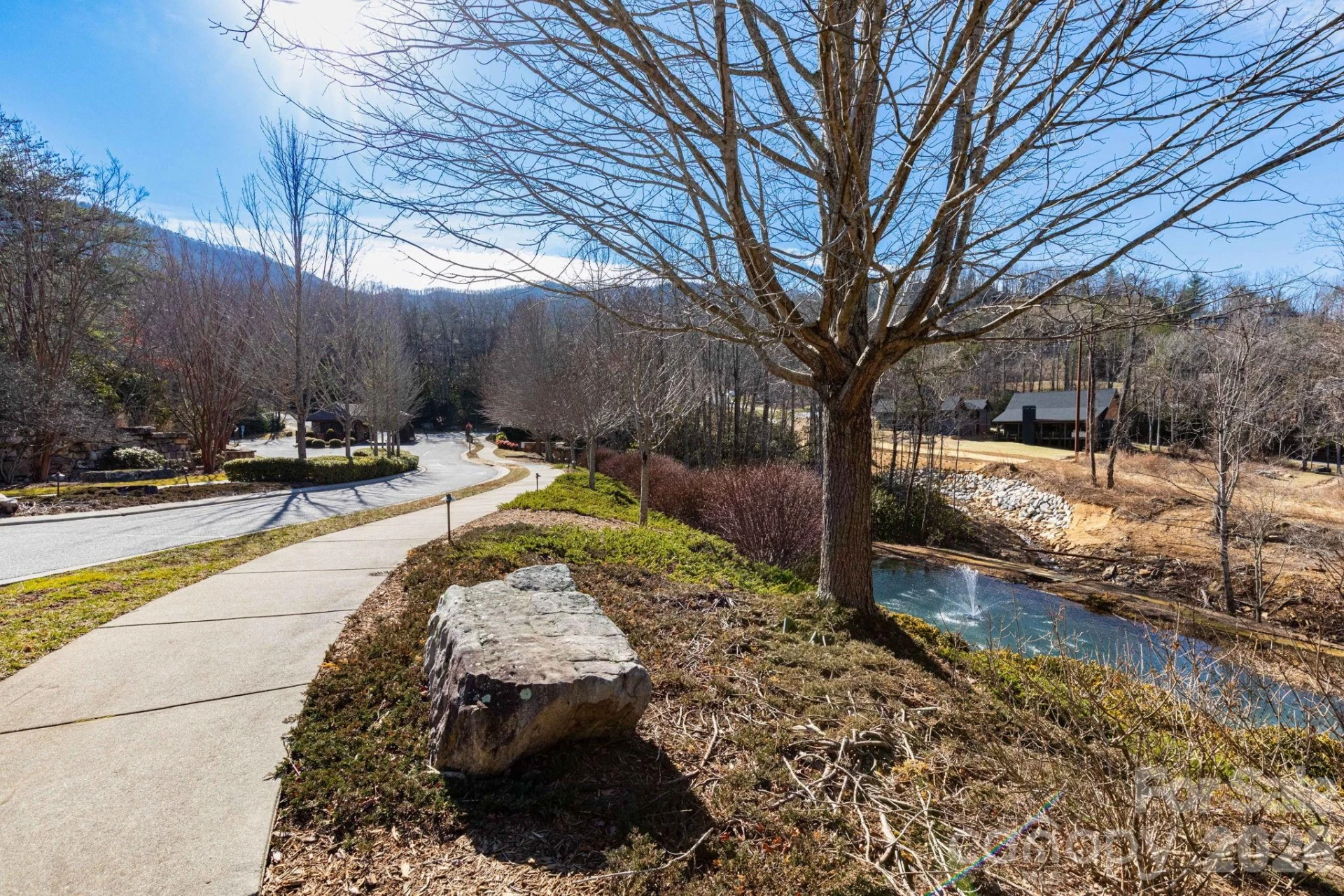 204 Settings Boulevard #247 - Photo 7