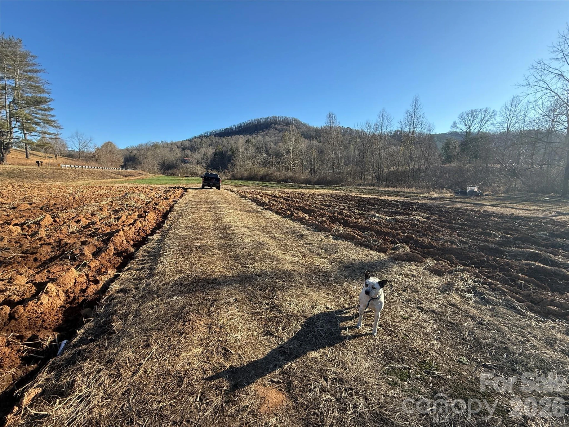 000 Old Fort Sugar Hill Road - Photo 35