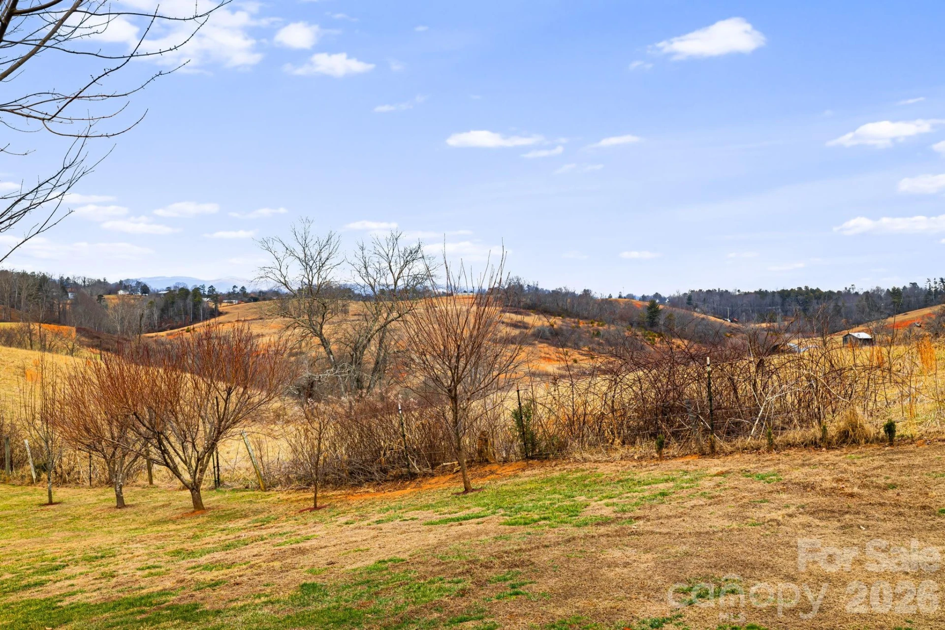79 Bear Creek Hills Drive - Photo 47