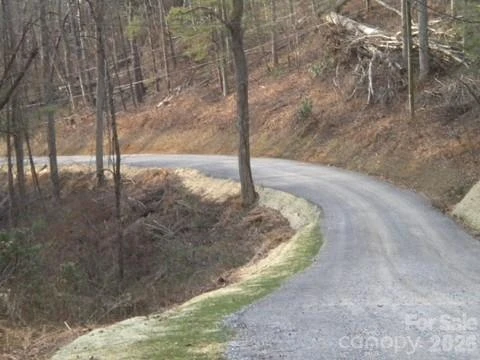 67 Earwood Ridge Road - Photo 16