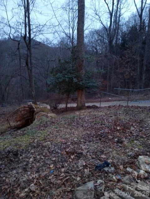 67 Earwood Ridge Road - Photo 17