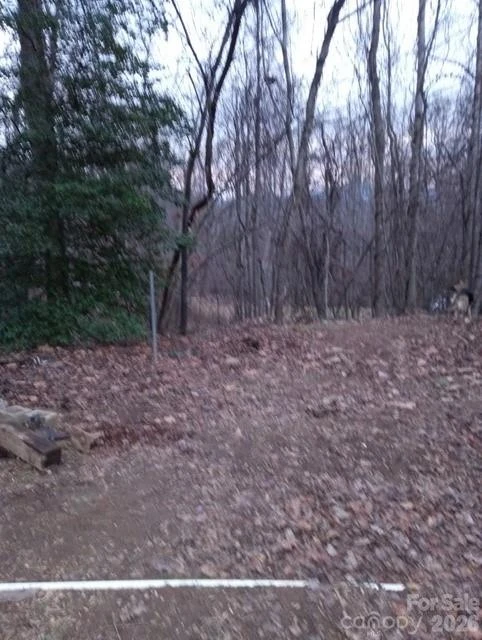 67 Earwood Ridge Road - Photo 18