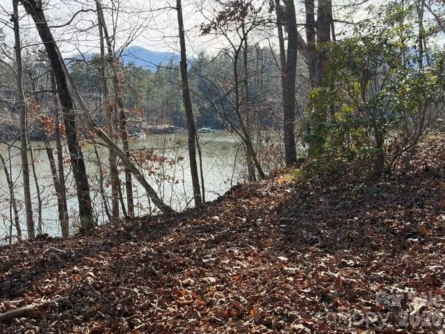 37 Peninsula Drive - Photo 4