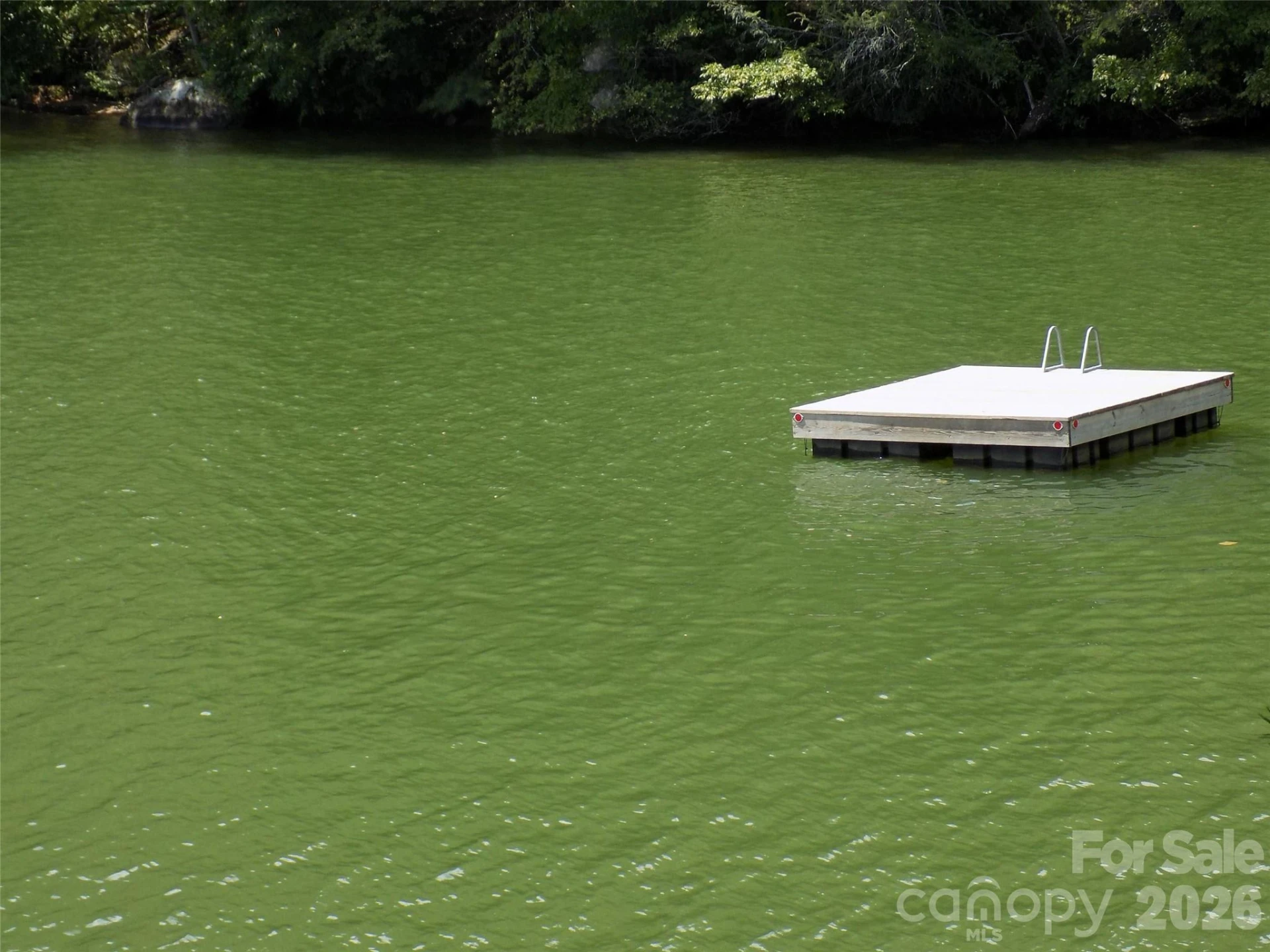 0 Falls View Trail #Lot 52 - Photo 5