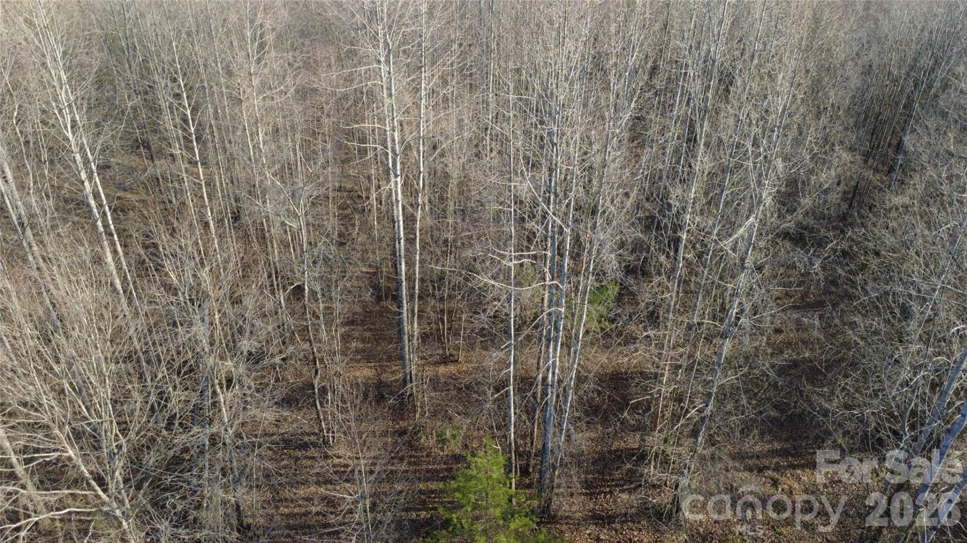 147 Double Eagle Drive #23 - Photo 18