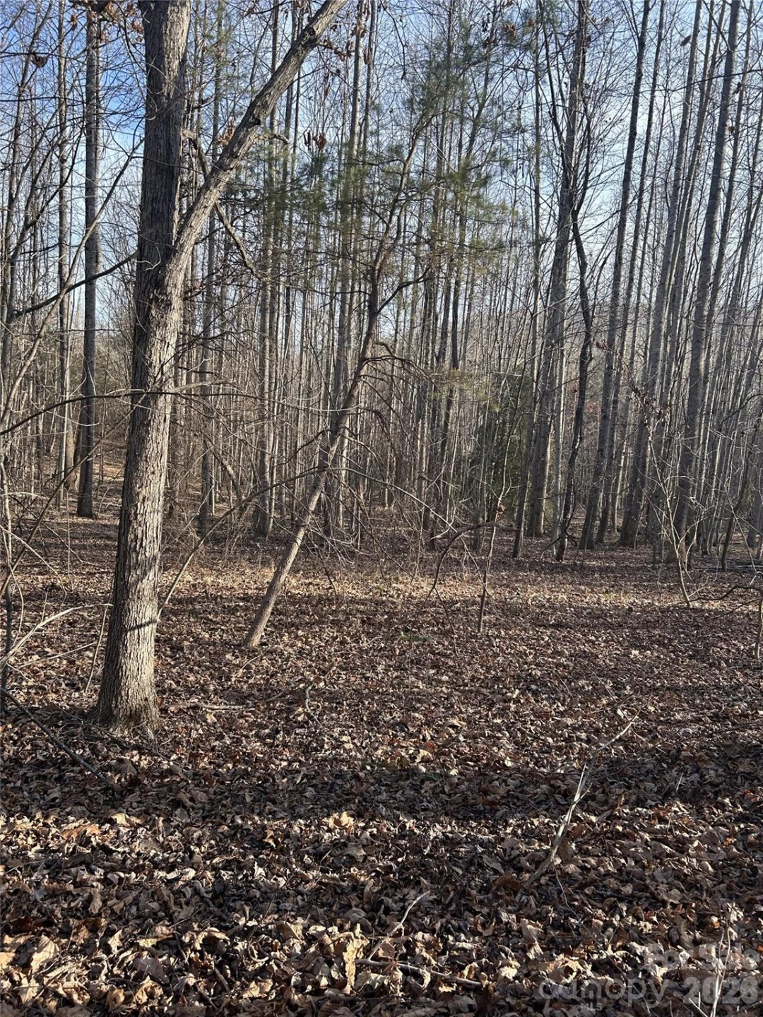 147 Double Eagle Drive #23 - Photo 23