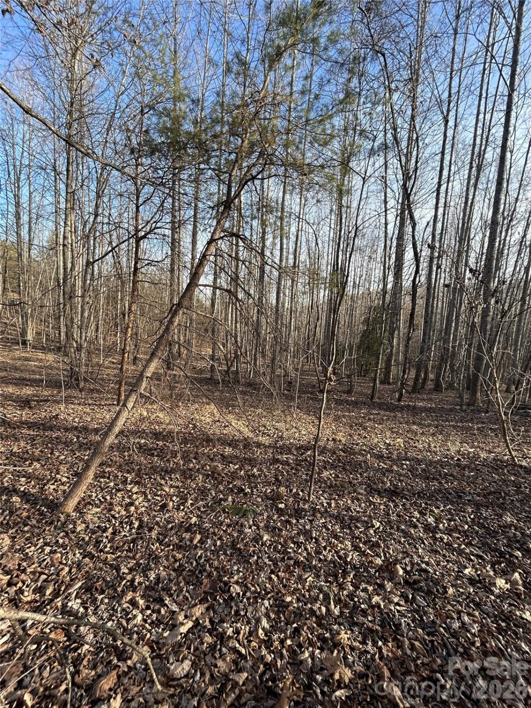 147 Double Eagle Drive #23 - Photo 24