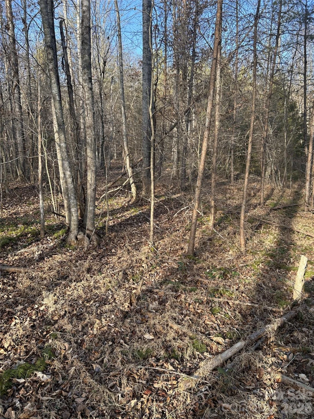 147 Double Eagle Drive #23 - Photo 33
