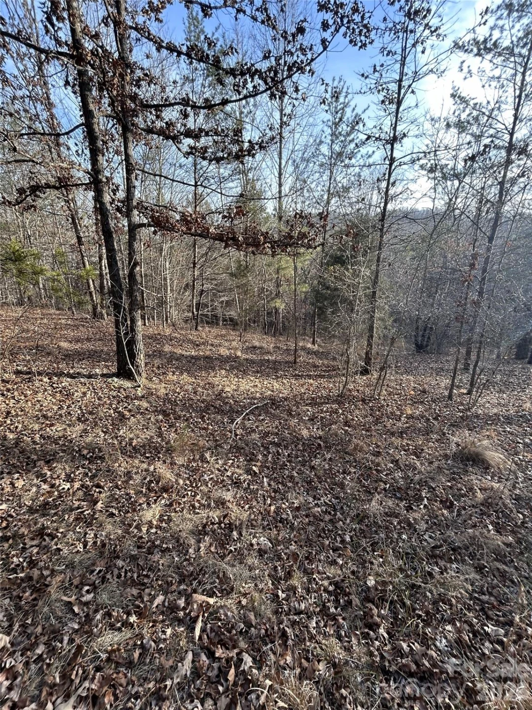 147 Double Eagle Drive #23 - Photo 38