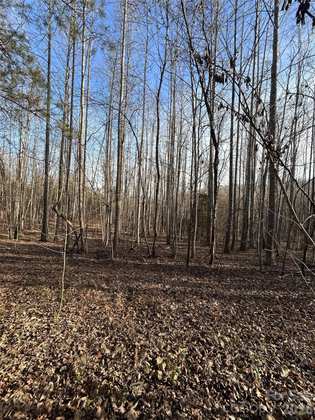 147 Double Eagle Drive #23 - Photo 5