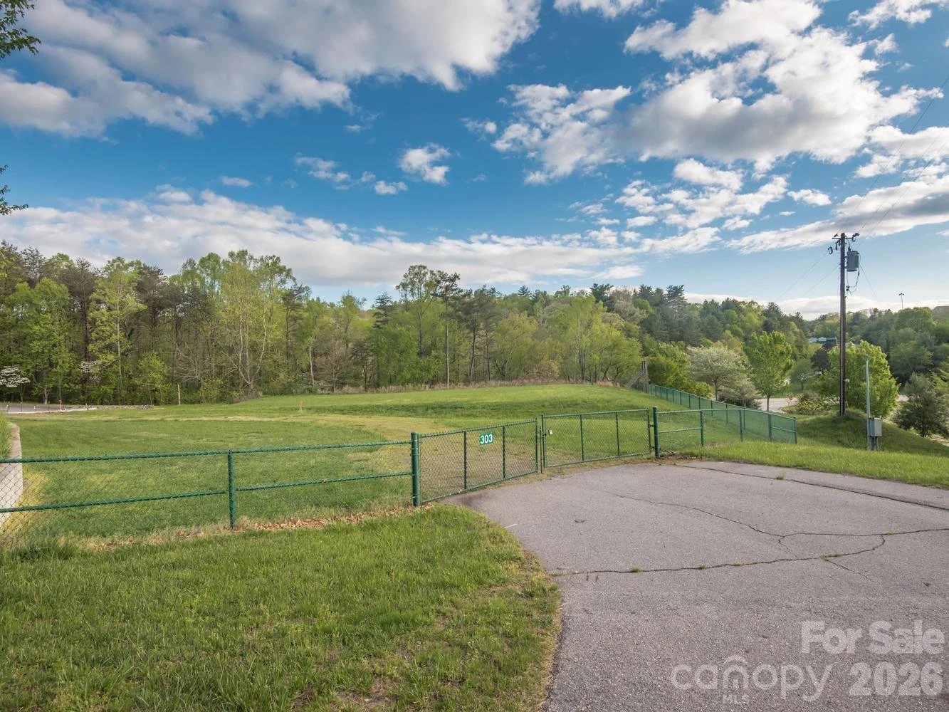 303 Gashes Creek Road - Photo 10