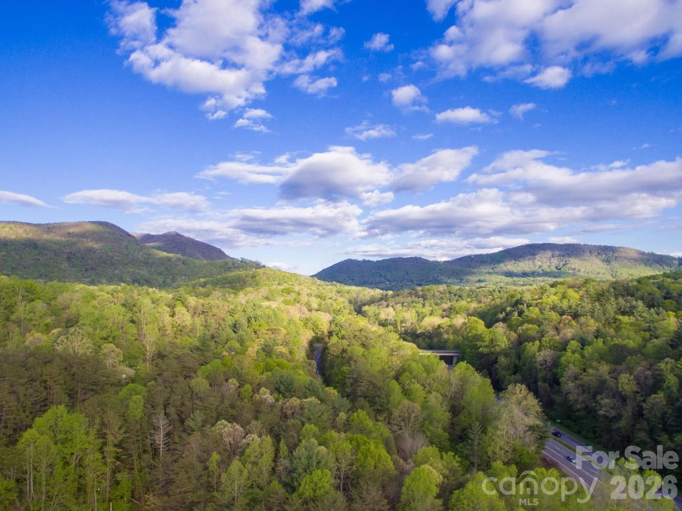 303 Gashes Creek Road - Photo 11