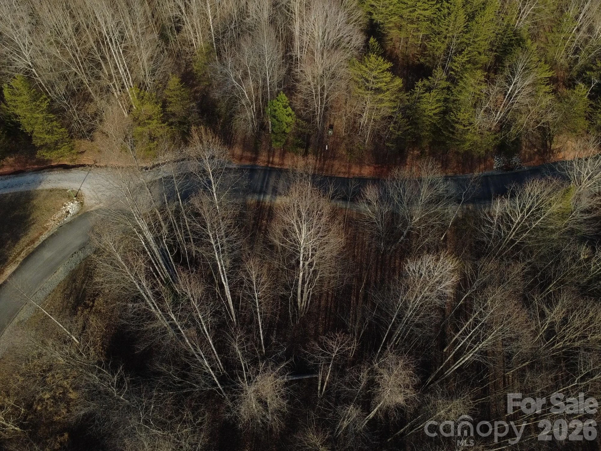 Lot 24 Double Eagle Drive #24 - Photo 2