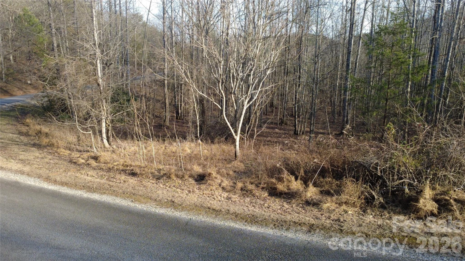 Lot 24 Double Eagle Drive #24 - Photo 12