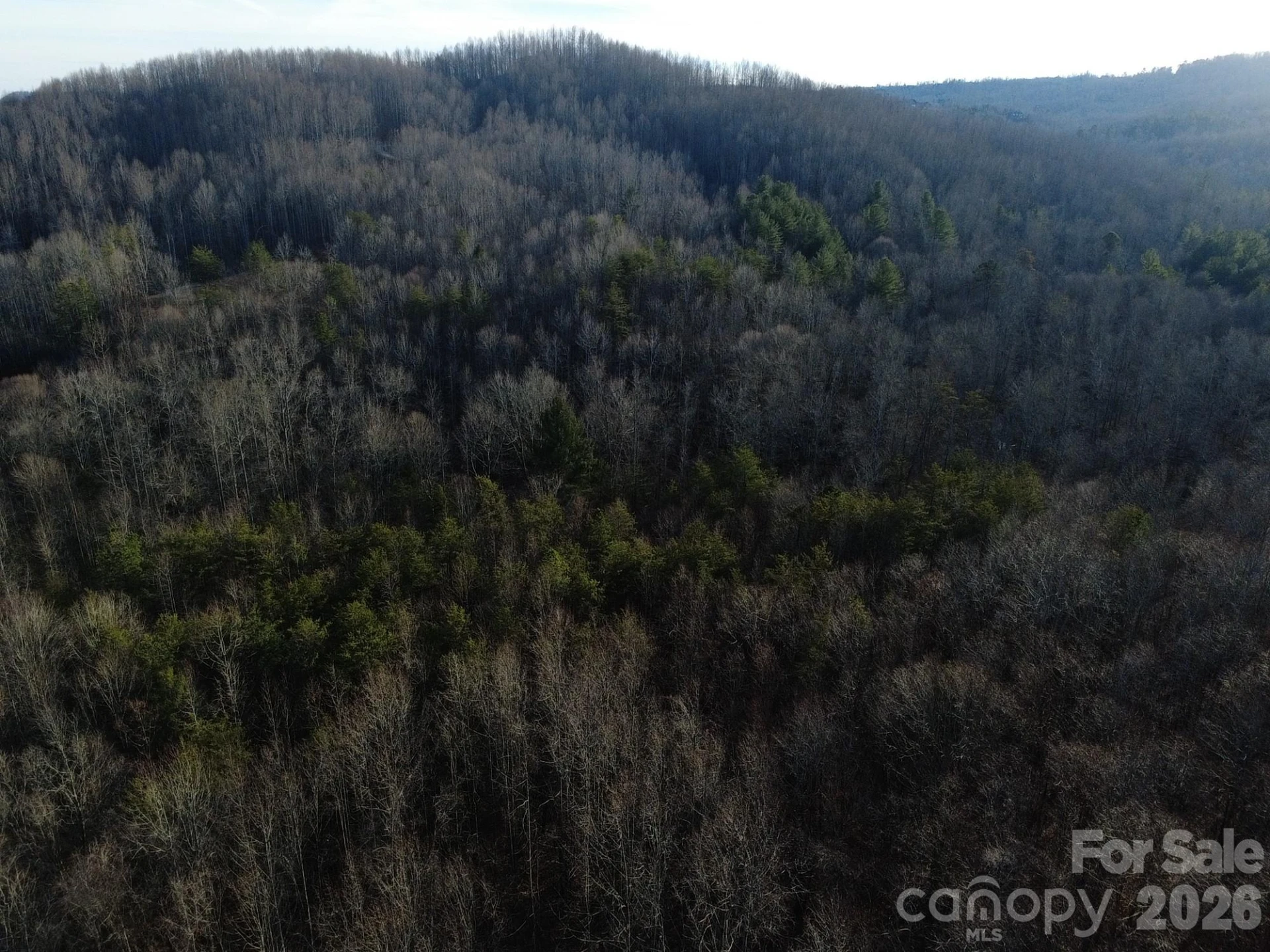 Lot 24 Double Eagle Drive #24 - Photo 13