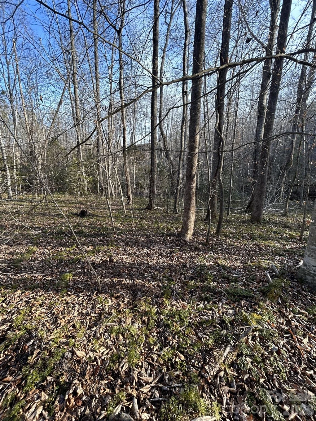 Lot 24 Double Eagle Drive #24 - Photo 3