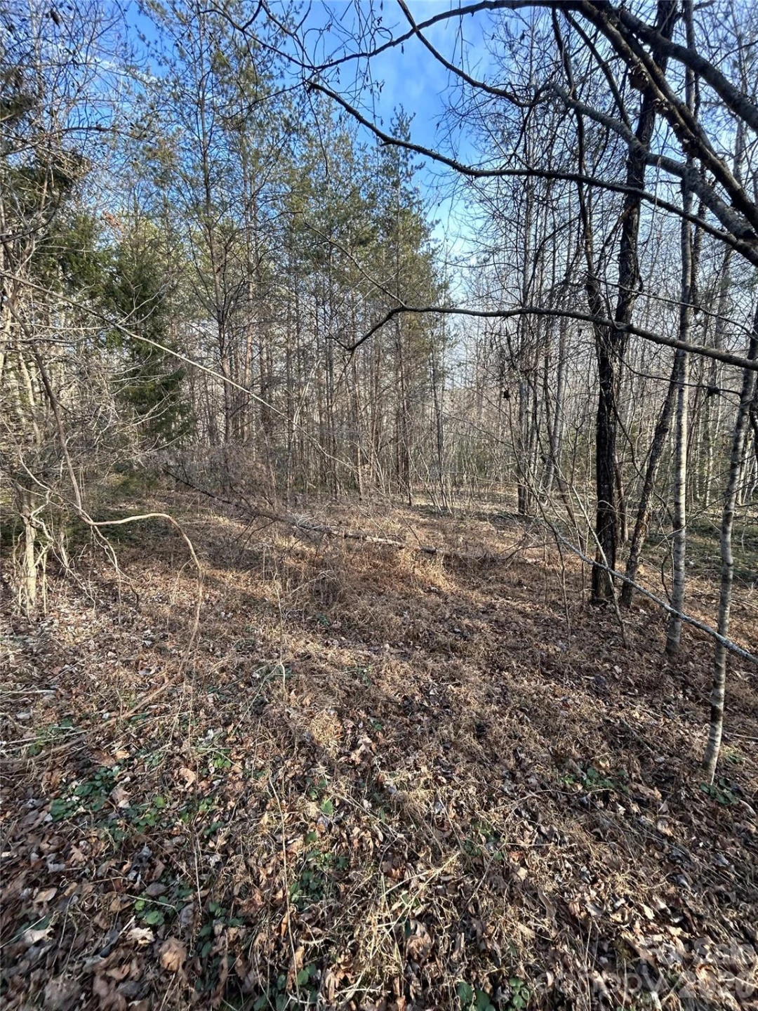 Lot 24 Double Eagle Drive #24 - Photo 29