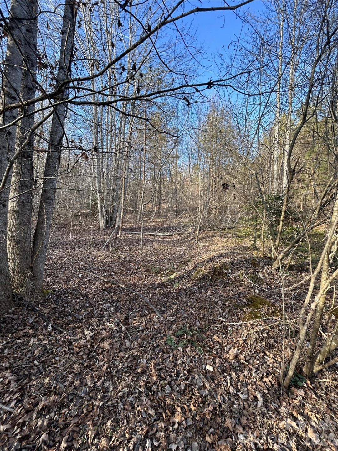 Lot 24 Double Eagle Drive #24 - Photo 30