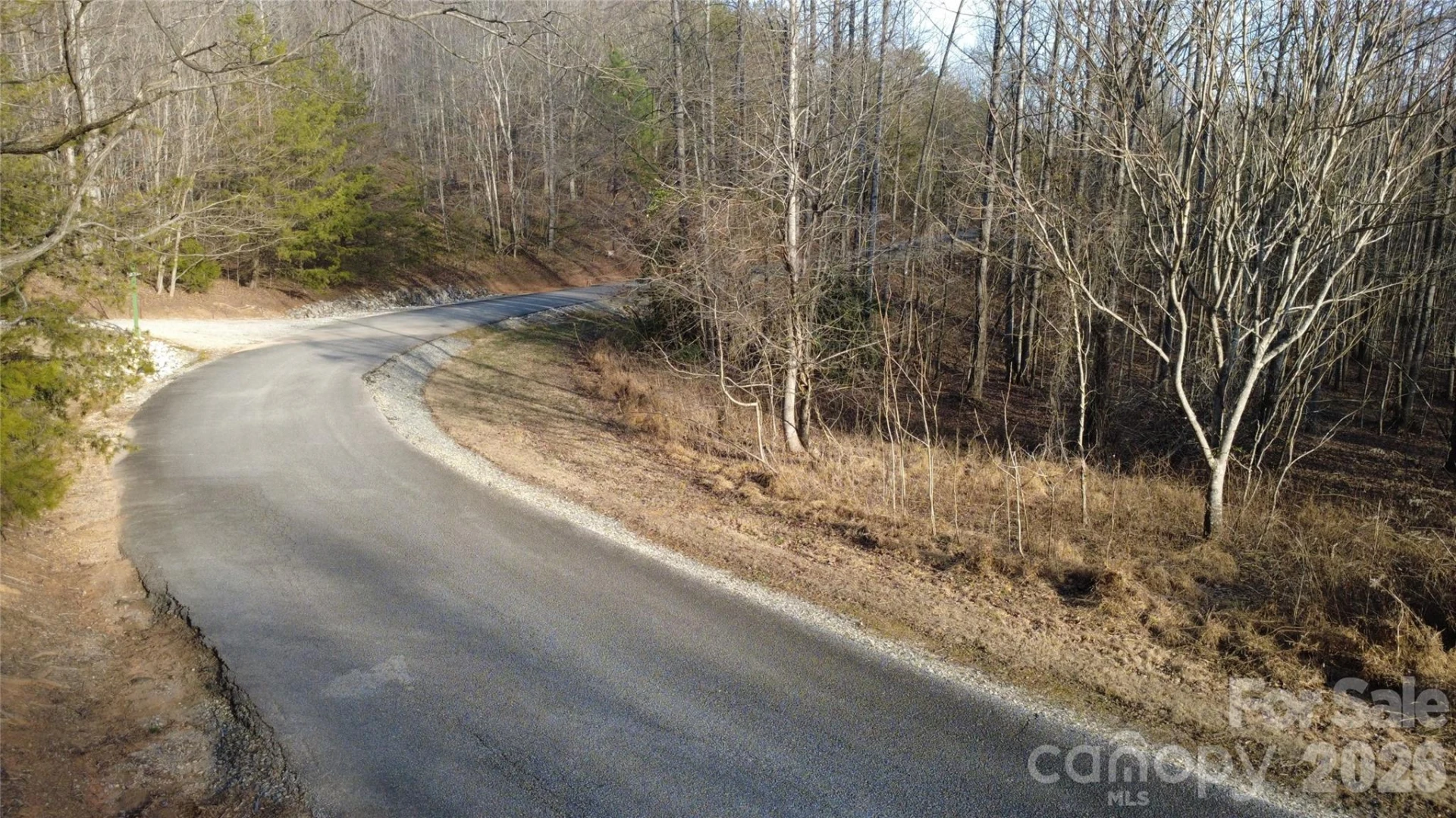 Lot 24 Double Eagle Drive #24 - Photo 6