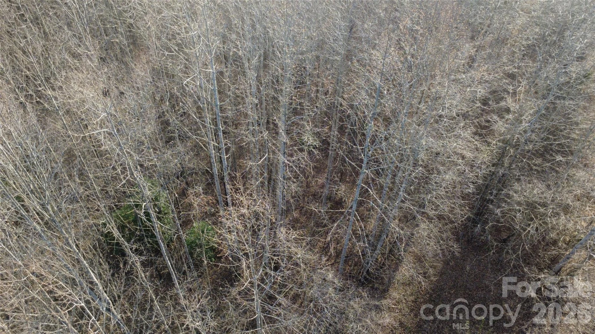 Lot 23 & 24 Double Eagle Drive #23 & 24 - Photo 23