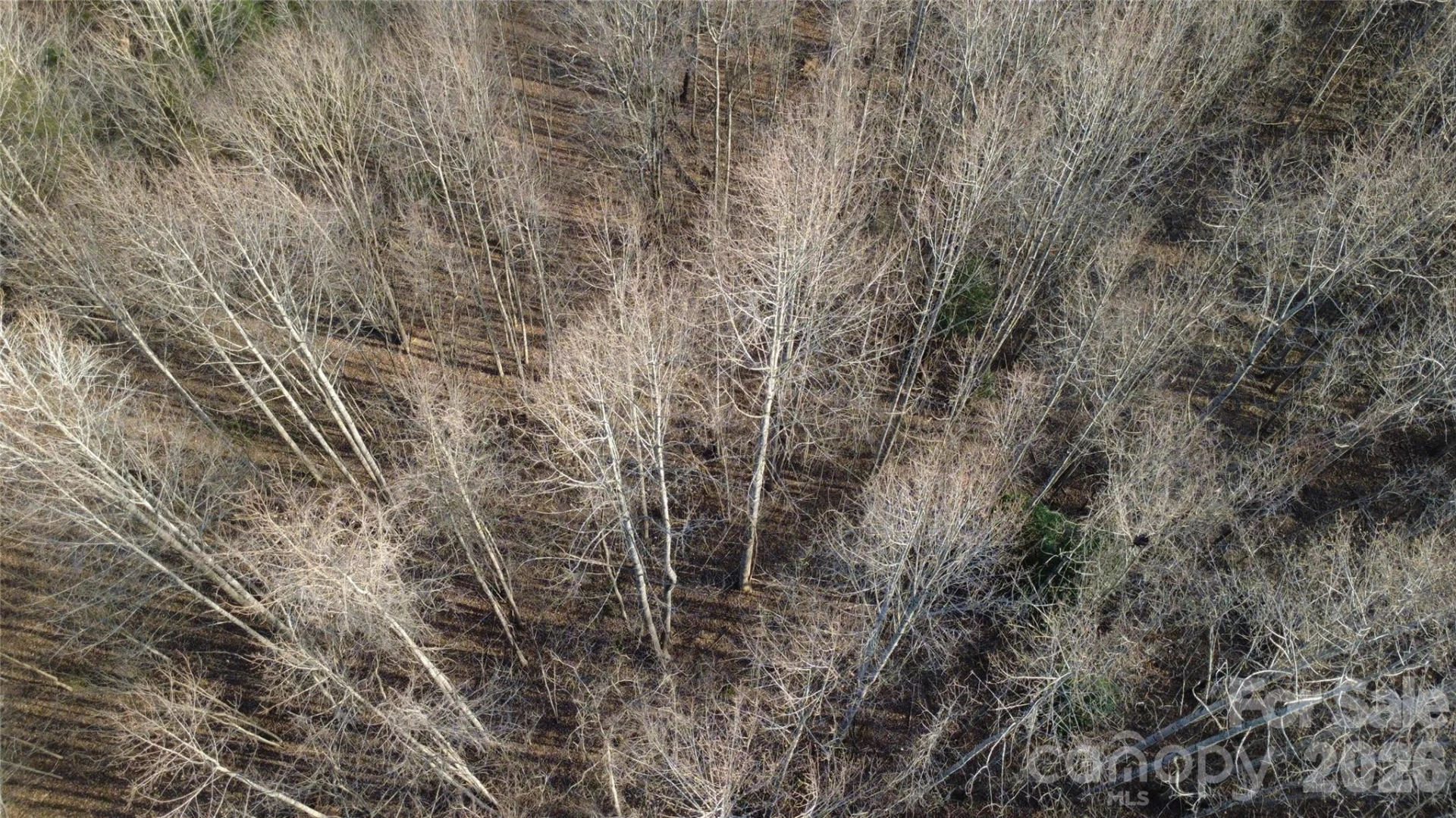 Lot 23 & 24 Double Eagle Drive #23 & 24 - Photo 24