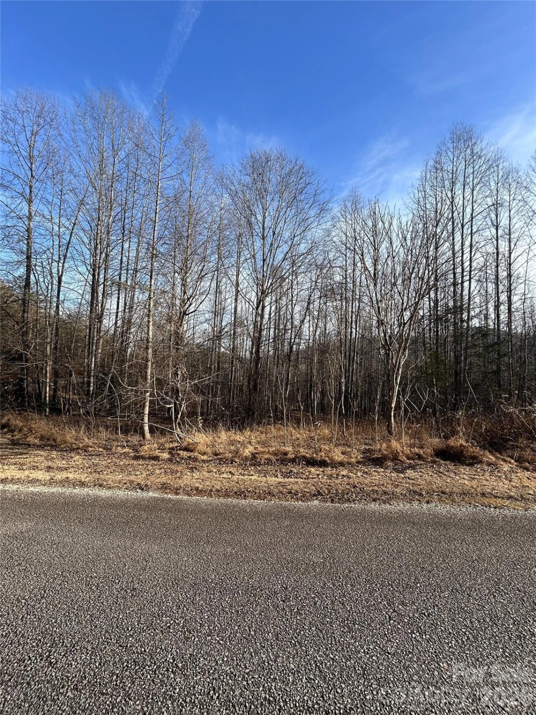 Lot 23 & 24 Double Eagle Drive #23 & 24 - Photo 27