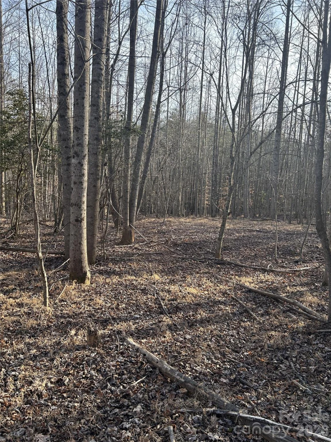 Lot 23 & 24 Double Eagle Drive #23 & 24 - Photo 34