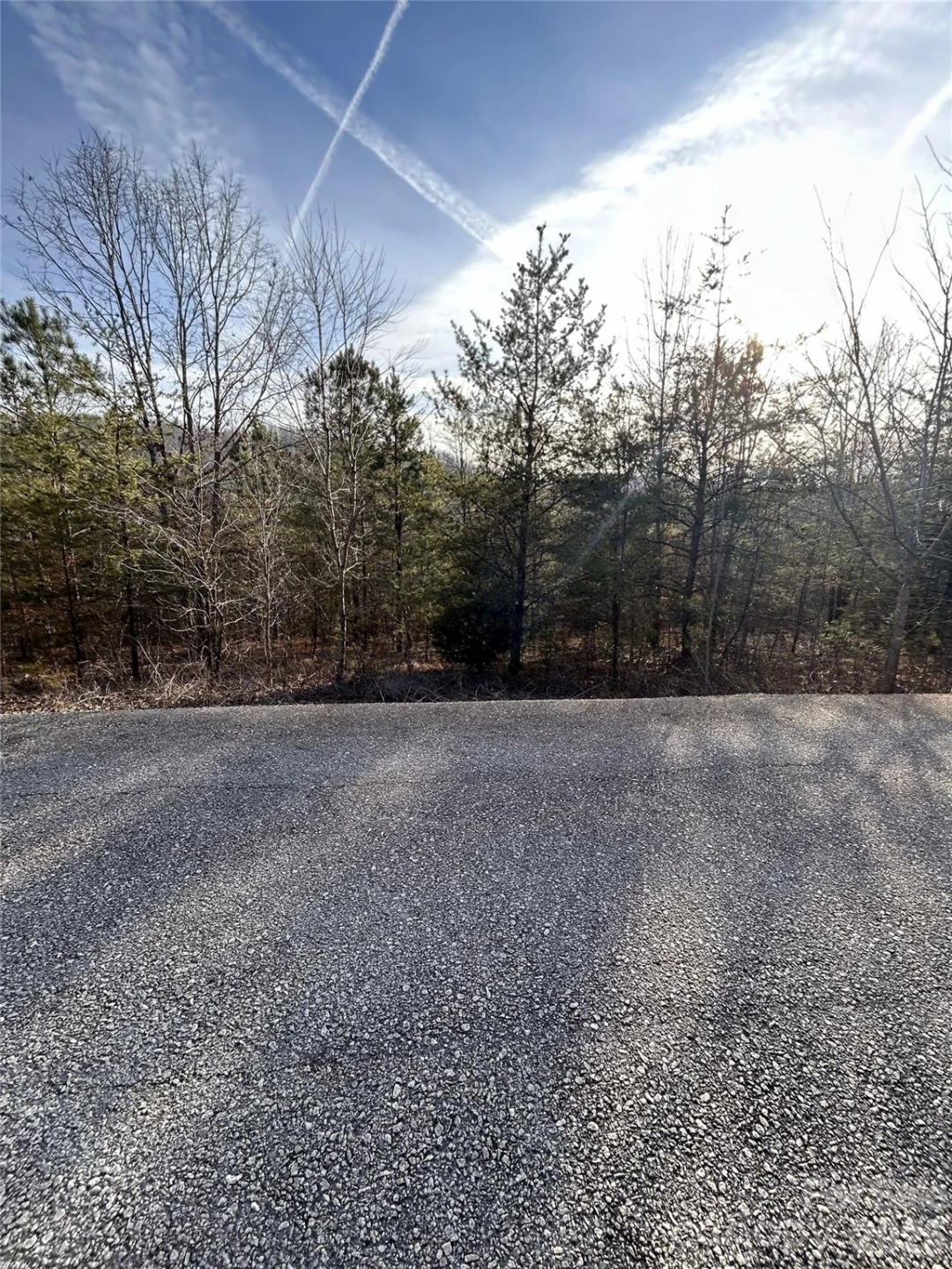 Lot 23 & 24 Double Eagle Drive #23 & 24 - Photo 47