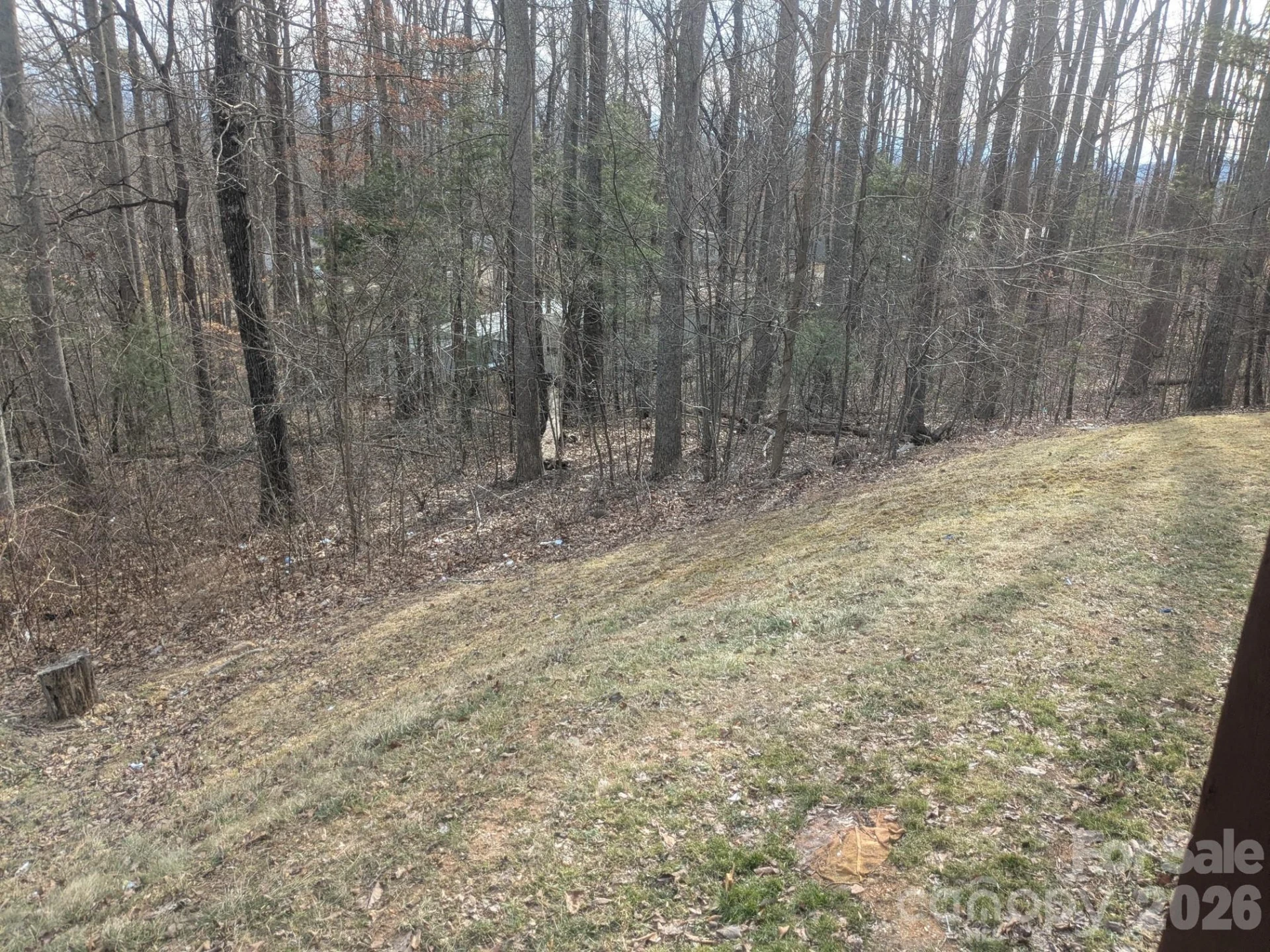 11 Gertrude Lane - Photo 11