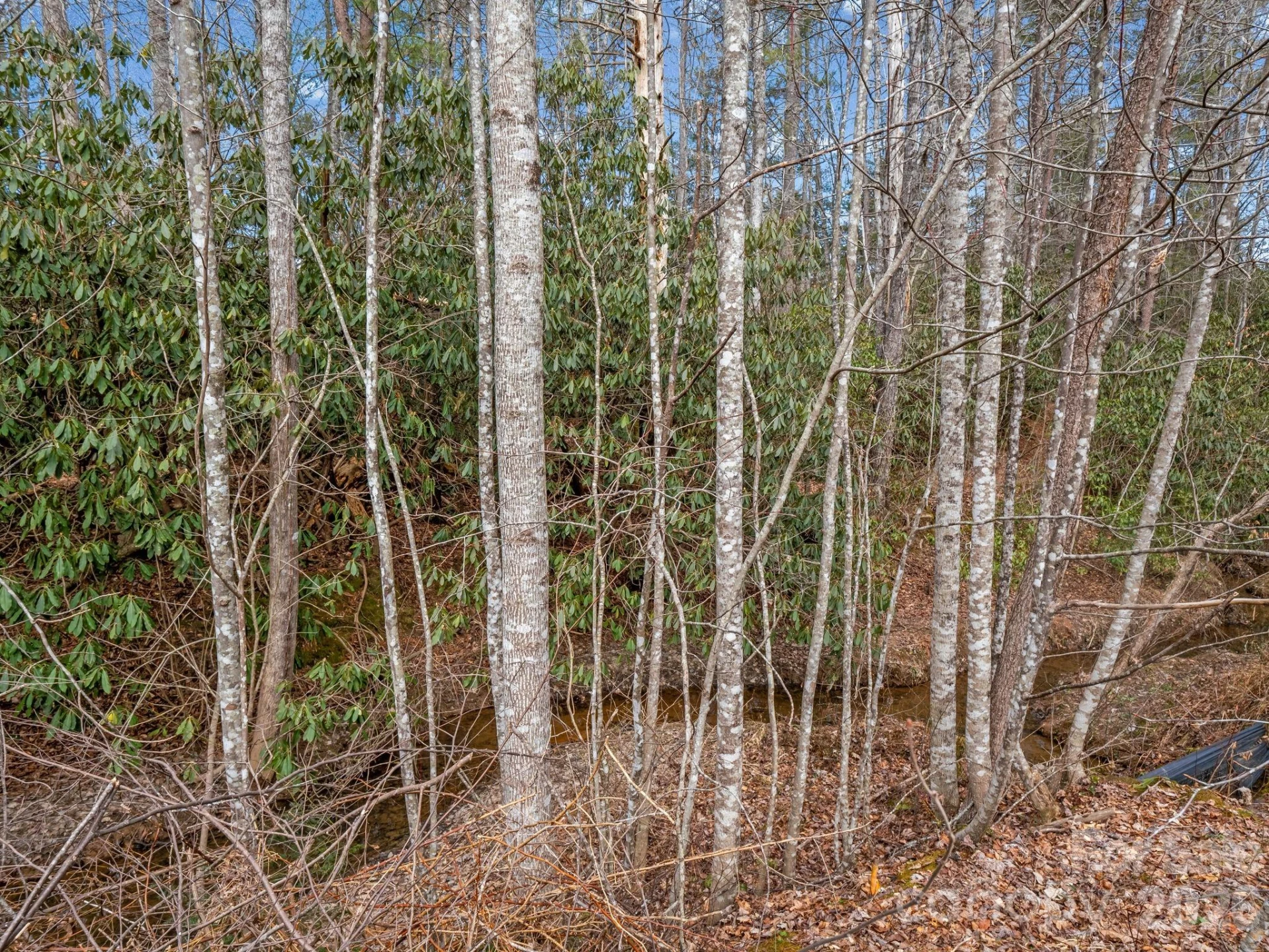 220 Jonathan Creek Drive - Photo 38