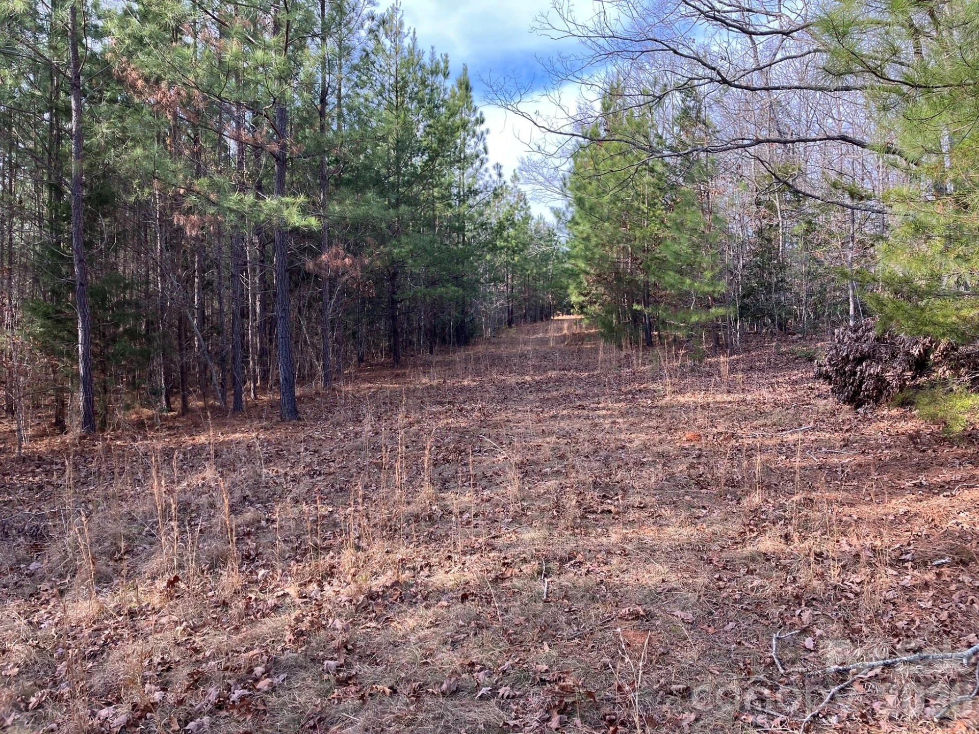 0 Dead End Road - Photo 19