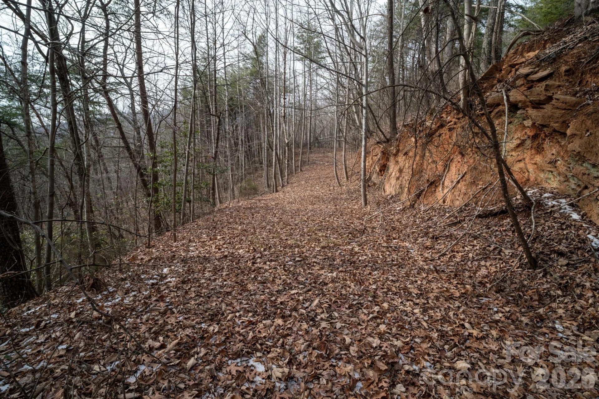 000 Pinnacle Parkway - Photo 2
