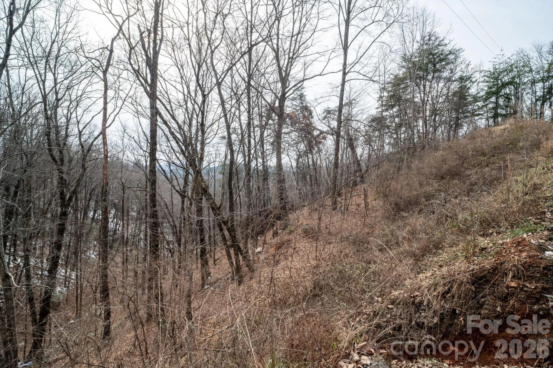 000 Pinnacle Parkway - Photo 13