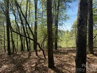 0 GREEN RIVER Road - Photo 3