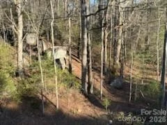 0 GREEN RIVER Road - Photo 16