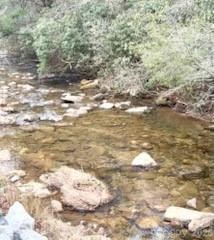 0 GREEN RIVER Road - Photo 18
