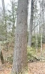 0 GREEN RIVER Road - Photo 22
