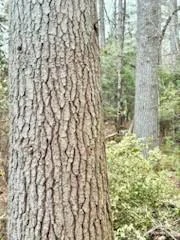 0 GREEN RIVER Road - Photo 23