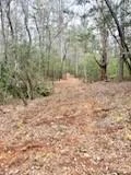 0 GREEN RIVER Road - Photo 24